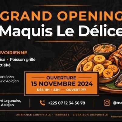 Je vais créer vos affiches pro + visuels réseaux sociaux en 24h